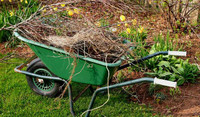 Cheap Lawn Mowing, Spring Cleanouts + Dump Runs