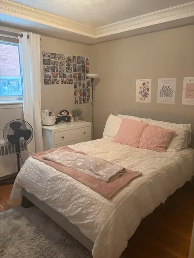 *NEW* 4 BDR- GLEBE-FIFTH @ OCONNOR- CARLETON/OTTAWAU-SEPT 1ST