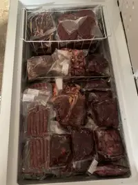Bison meat 