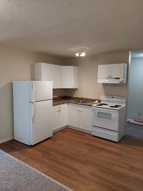 Spacious Renovated Large One Bedroom Apartment in Galt in Long Term Rentals in Cambridge - Image 2