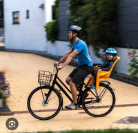Thule RideAlong Kids Bike Seat / Carrier