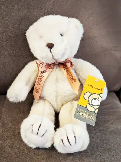 Curly Brown - Teddy Bear Museum (South Korea), View more