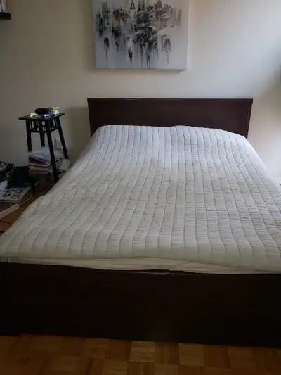Queen bed with storage & matress