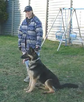 Dog Boarding and Training, View more