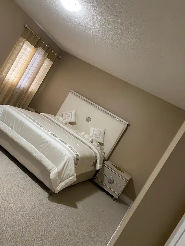 professional painters63760493479683123