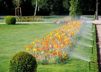 BEST SERVICE IN BEST PRICE GUARANTEED!! Never let your lawn’s grass/plants dry and die again. Use fr...