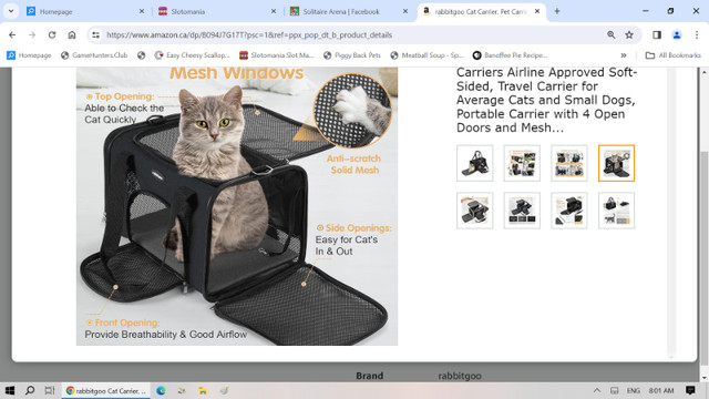 Small Pet Carrier in Accessories in Bridgewater - Image 3