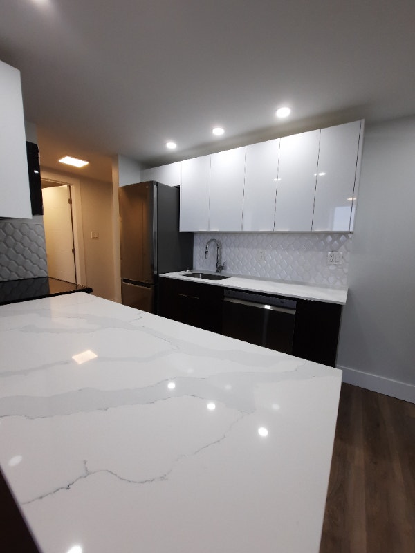 1 Bed 1 Bath Modern & Bright Dutch Village Rd 1595 Sept Long Term