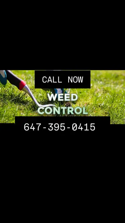 Bye-bye weeds — hello clean lawns! We get rid of weeds using safe spraying or hand-pulling — your ch...