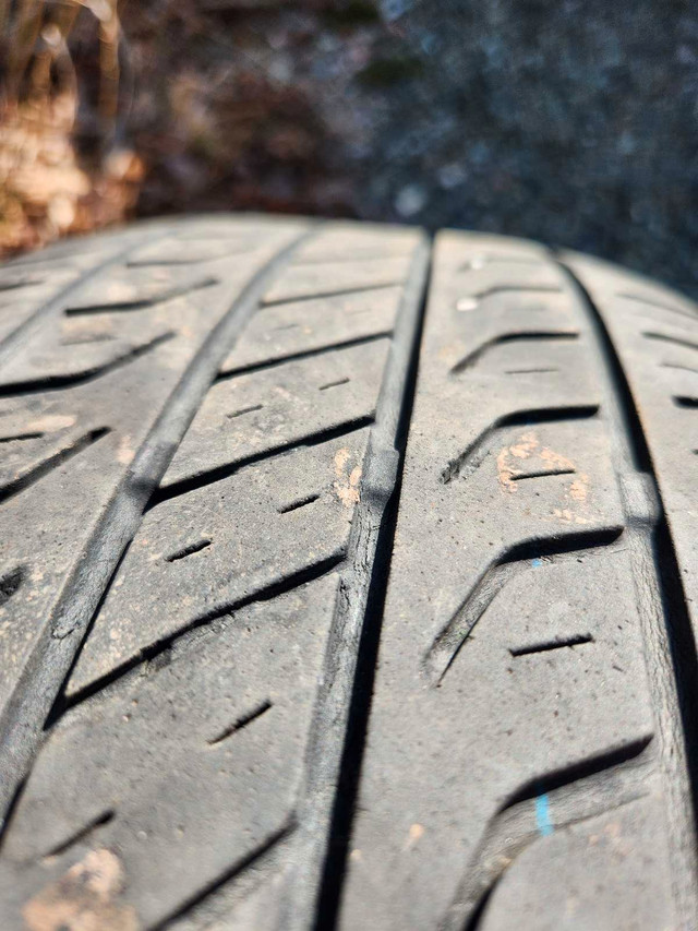 Toyo all season tires in Tires & Rims in Cape Breton - Image 4