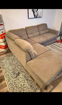 Sectional couch with pull out bed and storage