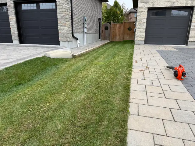  FALL YARD CLEANUP SERVICES 594162952879493125