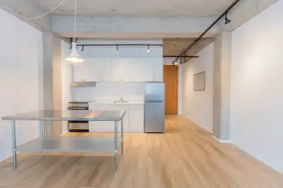 Newly Renovated Loft Downtown 105 St