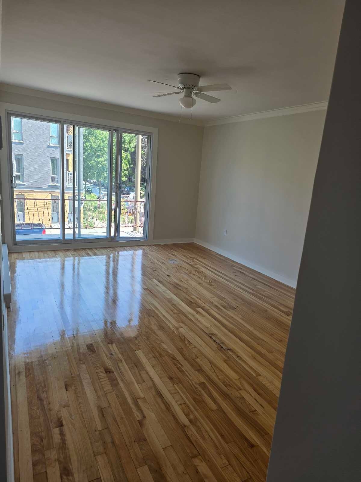 3 1/2 metro iberville , voisinage paissible , disponible — photo 2
