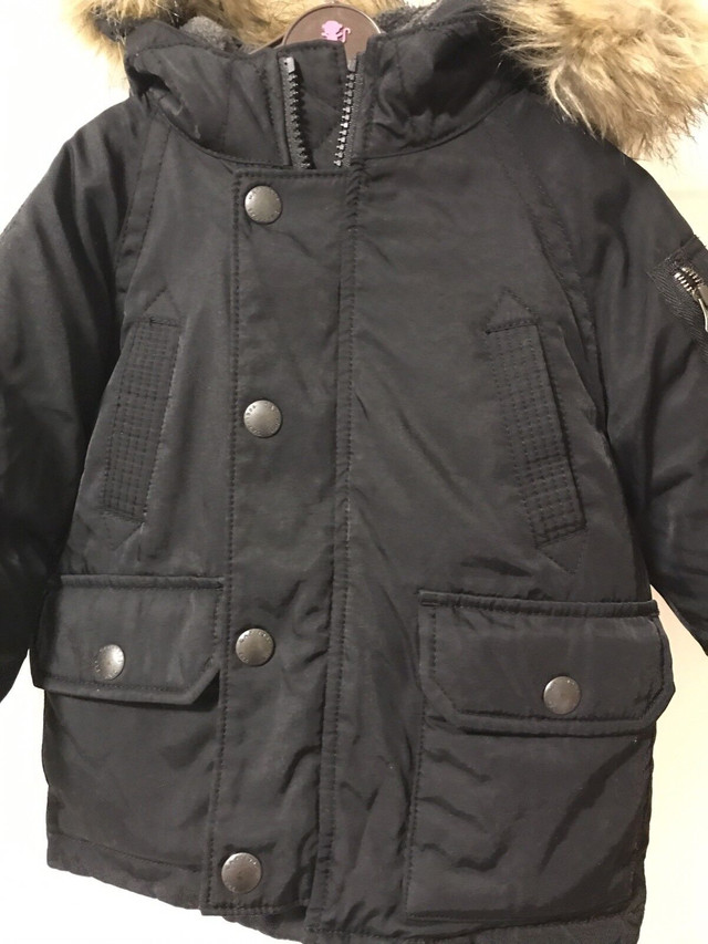 Gap toddler sales boy winter jacket