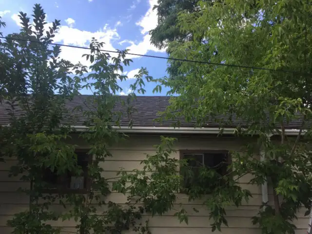 Roofing (Free Quotes)449689004216176647