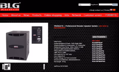 1 Subwoofer BLG 15" Amplifier. 1000W RMS voir mes autres annonces.