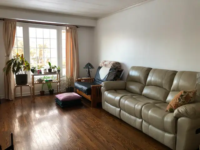 Sunny room at Finch and Leslie for Sept 1 in Room Rentals & Roommates in City of Toronto - Image 5