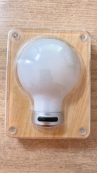 LED Closet Light Bulb 3 AAA Batteries