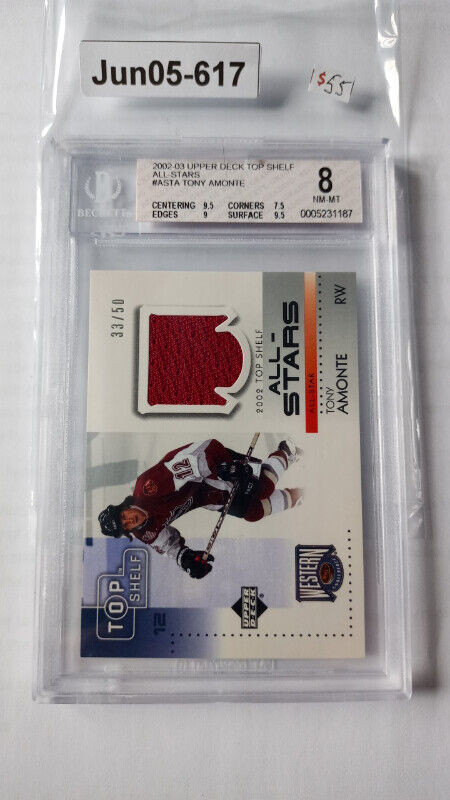 Tony Amonte Top shelf 2002 NHL All-star GU jersey /50 BGS NM-MT in Arts & Collectibles in St. Catharines
