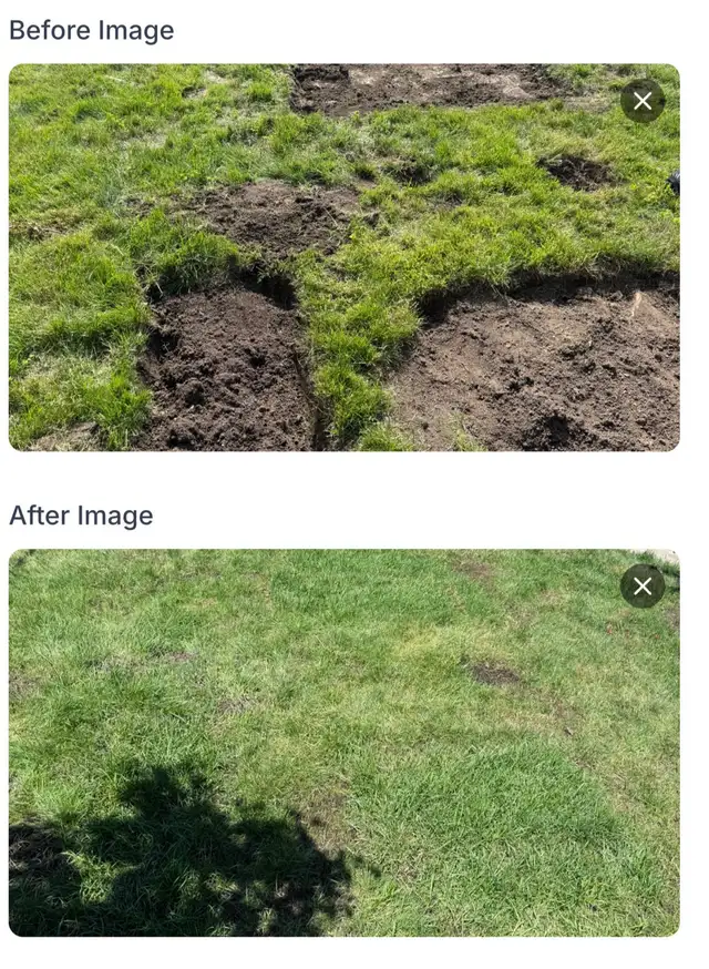 Leaf Raking, Weed removal,  Tree Cut,Mulch, & Tree cut services in Lawn, Tree Maintenance & Eavestrough in City of Toronto - Image 6