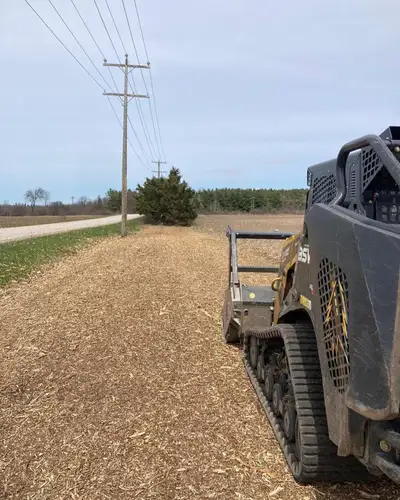 Forestry Service Site clearing Land clearing Forestry Mulchers, Skid steer/ Excavator Mulchers Grapp...