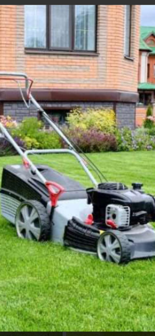 Lawn Mowing $40 includes front and backyard475928178553661441
