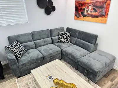 Brand New Sectional Sofa Bed With Storage Ottoman In Huge Sale, View more