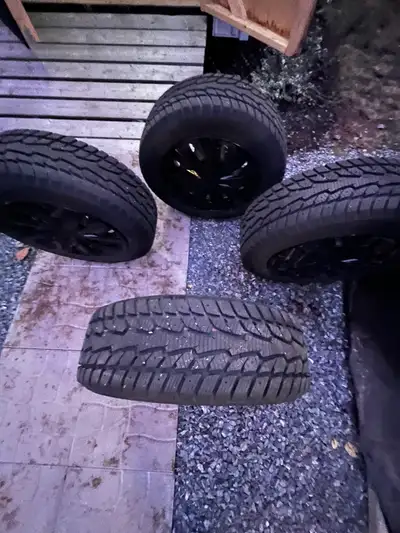 4 winter tires on rims just like brand new. Was only used one winter to travel back and forth to wor...