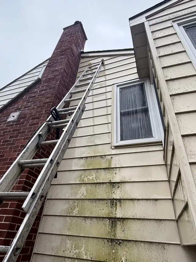 MR.J’S WINDOWS AND EAVES CLEANING INC.63347530820353121