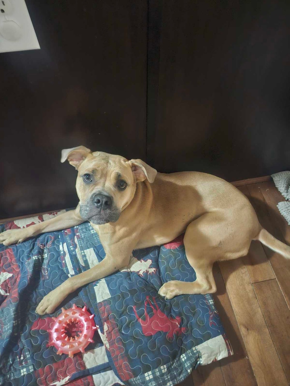 for free | Free Stuff | Ottawa | Free local classifieds - Kijiji