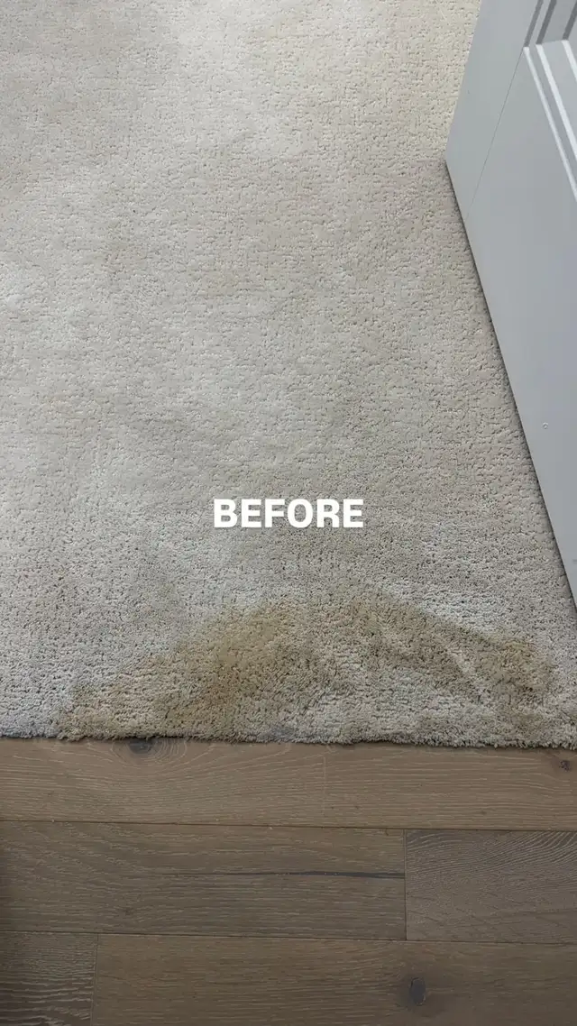 CARPET CLEANING by Cleaning Fairy 62863713230081123