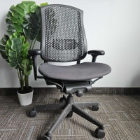 Herman Miller Celle ergonomic office chair FULLY LOADED City of Toronto Toronto (GTA) Preview