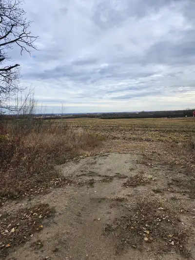 75 Acres of farmland near Lamont/Chipman Alberta. North of Hwy 16 Located on the corner of RR 192 an...