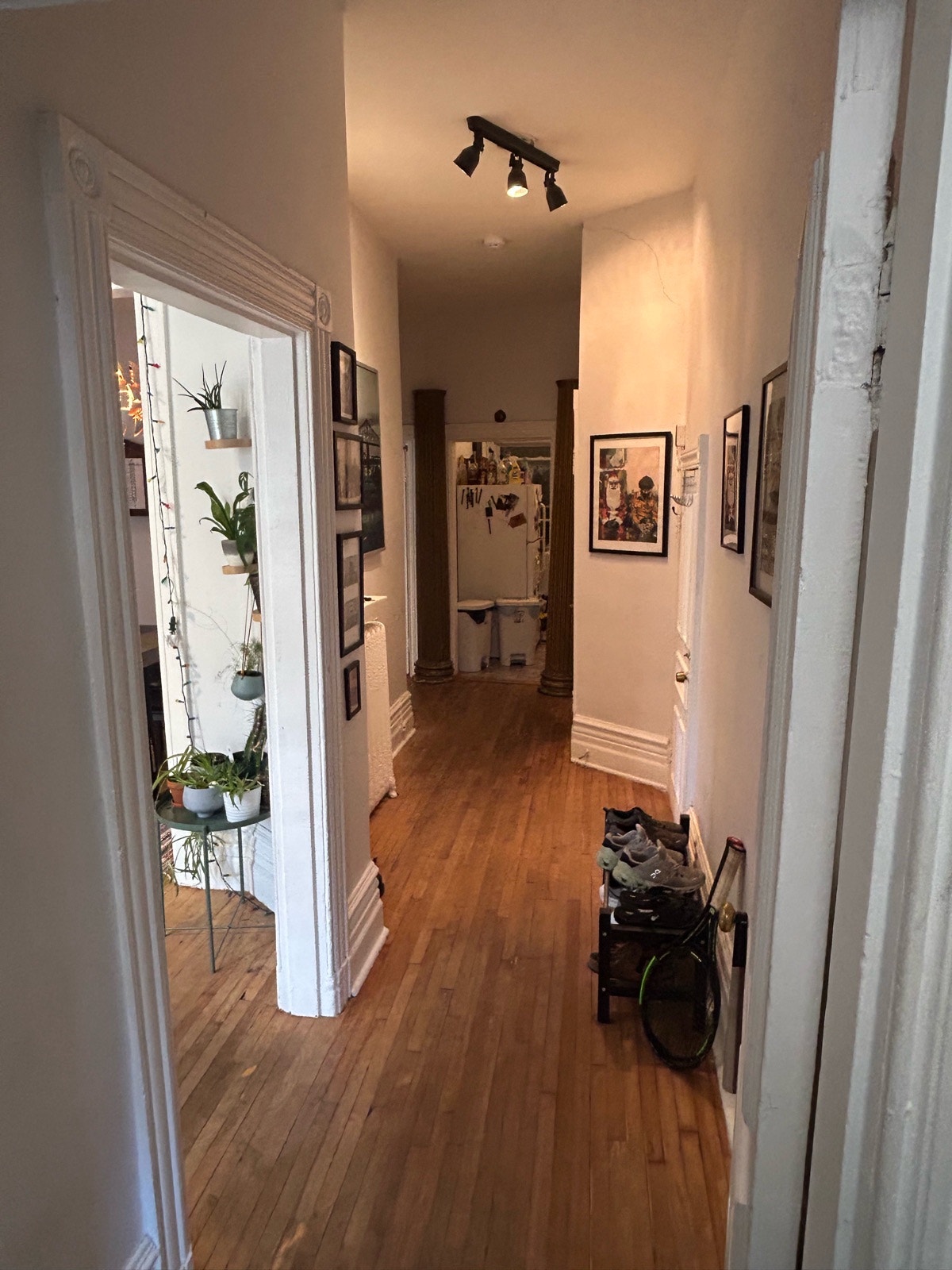 3611 Rue De Bullion — photo 3