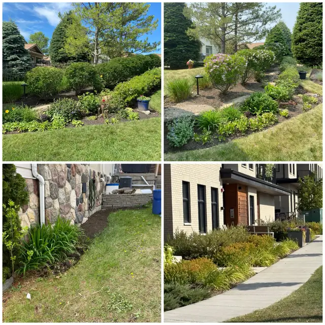 Spring CLEAN UP and lawn care in Lawn, Tree Maintenance & Eavestrough in Calgary - Image 2