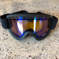 Dragon D2 snowboard goggles