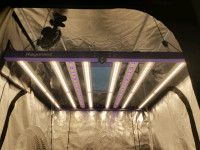 720w Grow Light Rayonled Fans Vents Tents