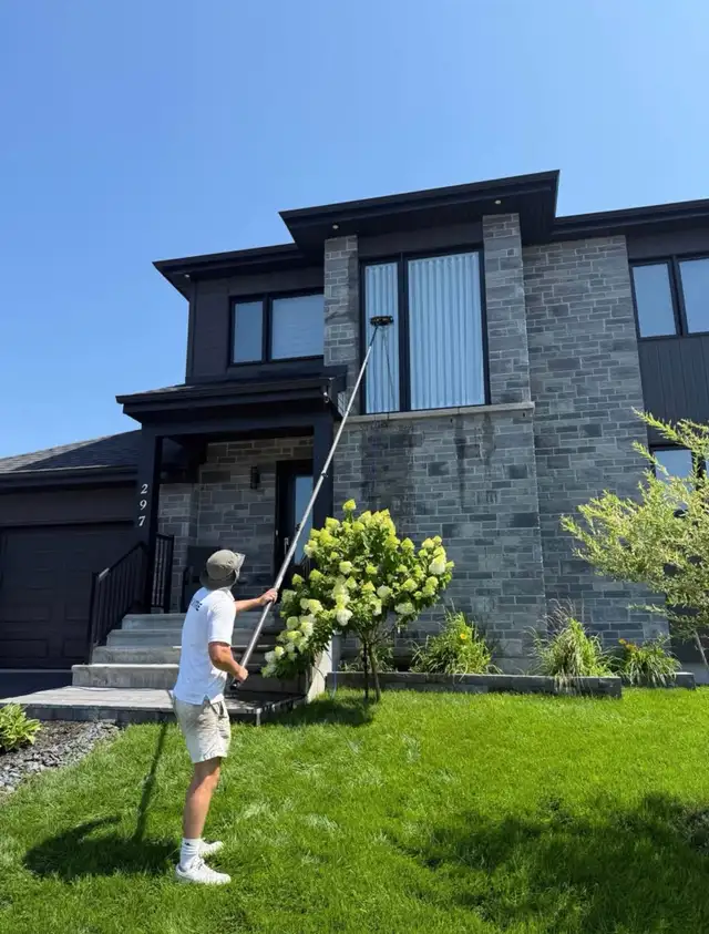 Window Cleaning436100209448724482
