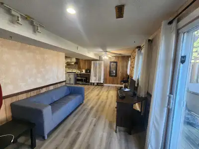 1 bedroom - Bright Walkout basement for rent in Central Ajax. Nearest intersection Kingston Rd and R...
