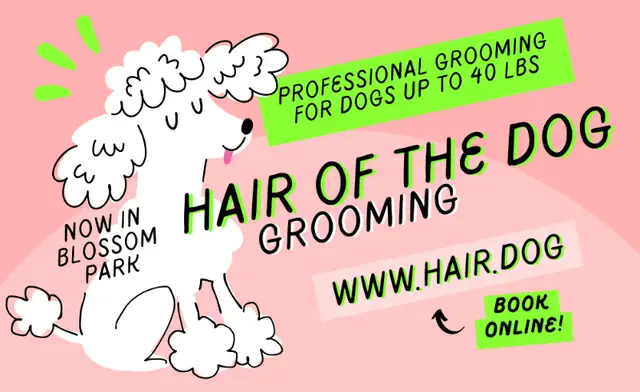 Dog groomer accepting new clients! Blossom Park/South Ottawa in Animal & Pet Services in Ottawa - Image 2