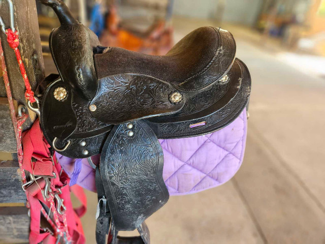 Youth Western Saddle in Equestrian & Livestock Accessories in Brantford