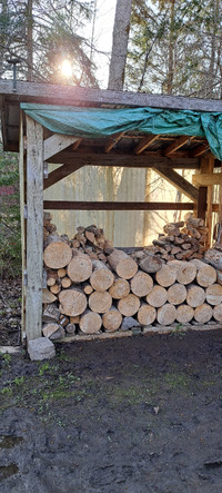 Round poplar logs