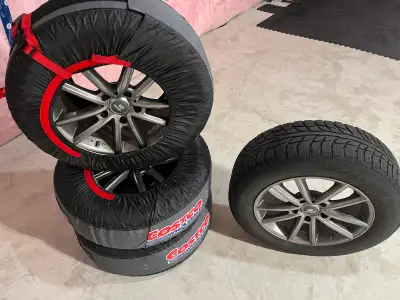 Winter tires & rims 225 65 R17 Used approx. 20k