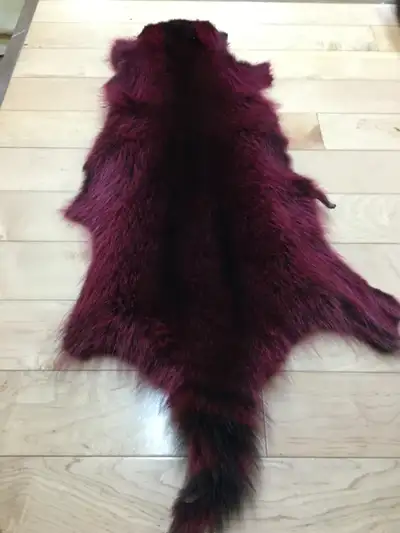 Dyed raccoon skins. 5 purple. 1 red. Soft fur. Will be good for lots of crafts. Buyer pays shipping...