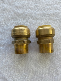 ¾” x ¾” Male (MNPT) Brass Push-to-Connect Connector (2 pcs)