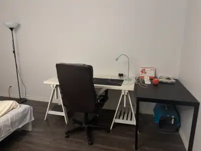 3 1/2 apartment lease transfer
