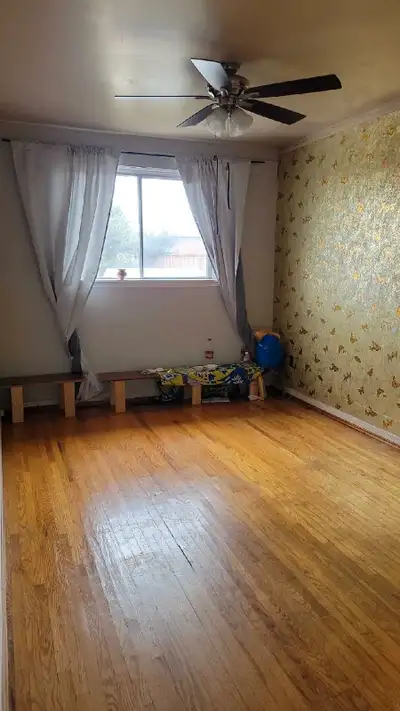 Vegetarian Girl Student Roommate Upper Level Malton Mississauga