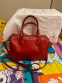 COACH  Handbag (NEW) —$ 100