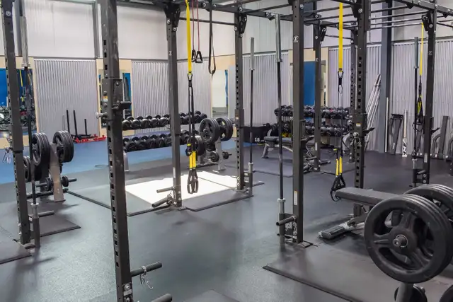 Gym rig racks in Exercise Equipment in Ottawa - Image 3